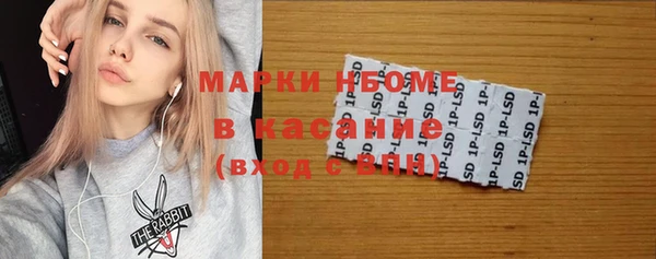прущие грибы Беломорск