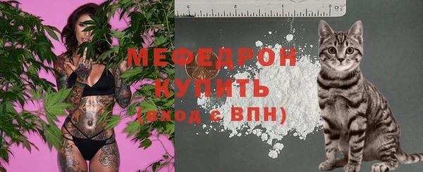 гидра Белокуриха