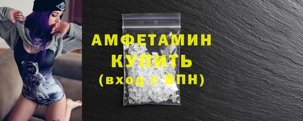 гидра Белокуриха