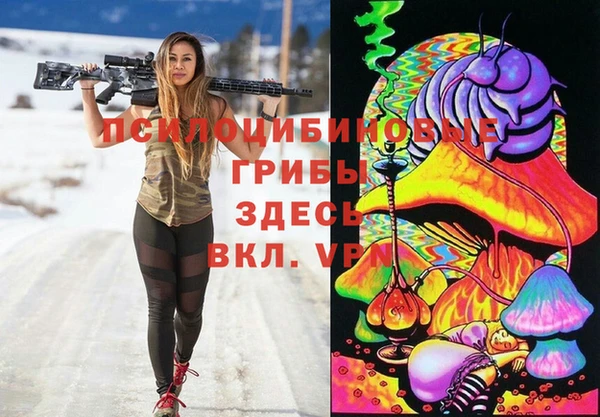 гидра Белокуриха