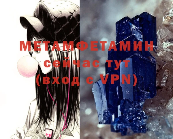 прущие грибы Беломорск