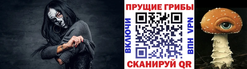 Псилоцибиновые грибы мицелий  купить наркотик  Шадринск 