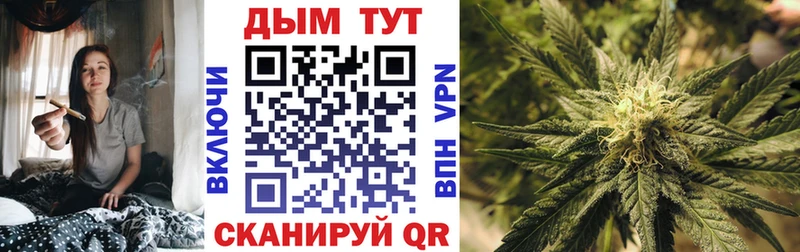 МЕГА ссылки  где можно купить   Шадринск  Бошки марихуана марихуана 